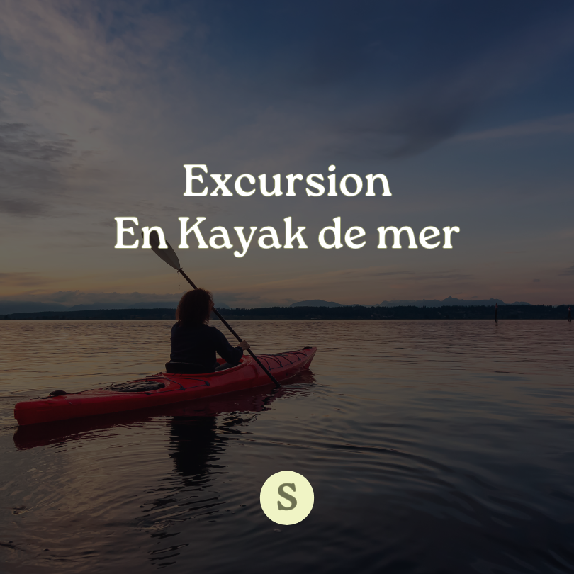 Excursion en Kayak de Mer le long d'une Cala