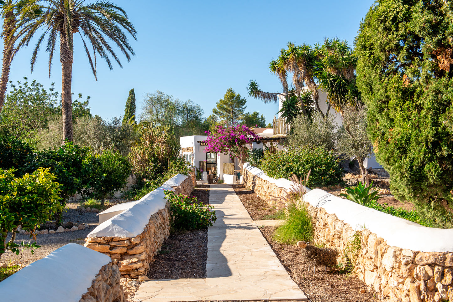 Villa Oasis - San Raphael