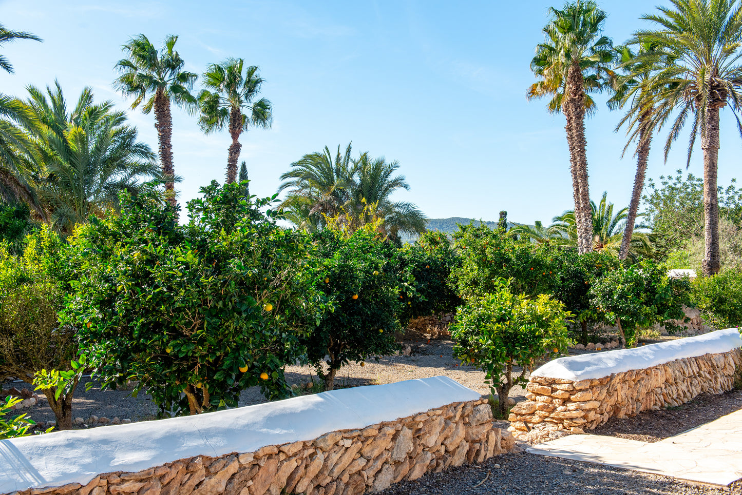 Villa Oasis - San Raphael